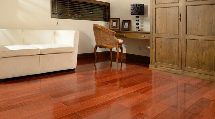 二翅豆-吉宅专用