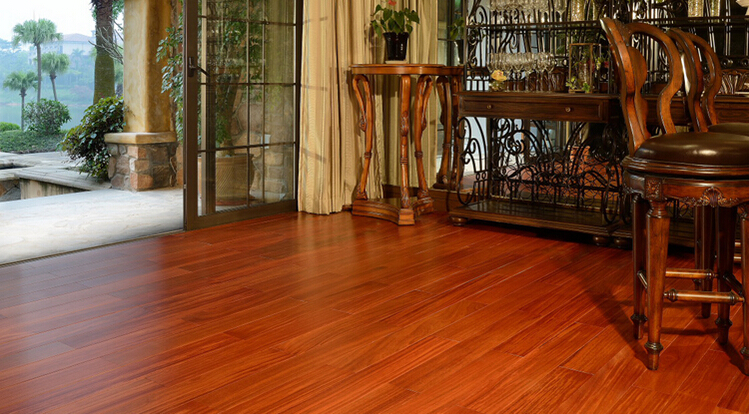 二翅豆-吉宅专用