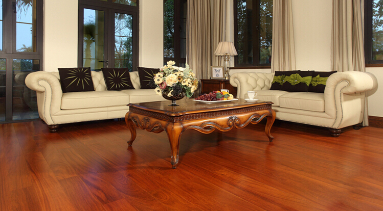 二翅豆-凤鸾和呜